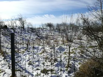 De Panne in de sneeuw (België)